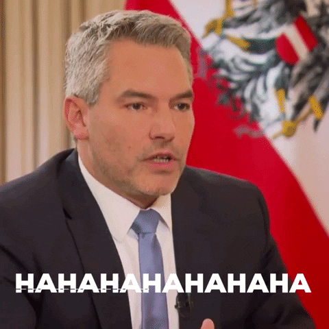 davsow giphygifmaker nehammer GIF