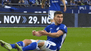 Football Soccer GIF by FC Schalke 04