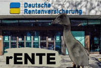 Duck Pato GIF