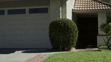 GIF by EXPELLED