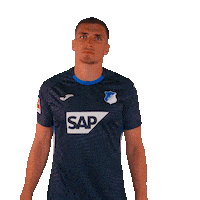 Grischa Prömel Sport Sticker by TSG Hoffenheim