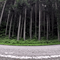 Wait For It Japan GIF by FIA World Rally Championship