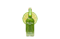Key Lime Sticker by Blue Chair Bay Rum