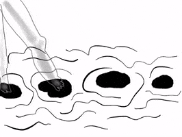 Crossing Step By Step GIF by Barbara Pozzi
