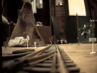 salute your shorts nicksplat GIF