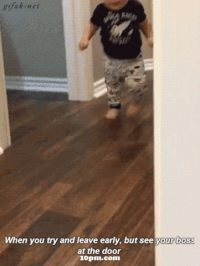 door boss GIF