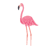 Pink Flamingo Sticker