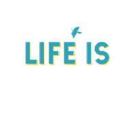 Iced Coffee Life Sticker by La Colombe Coffee Roasters