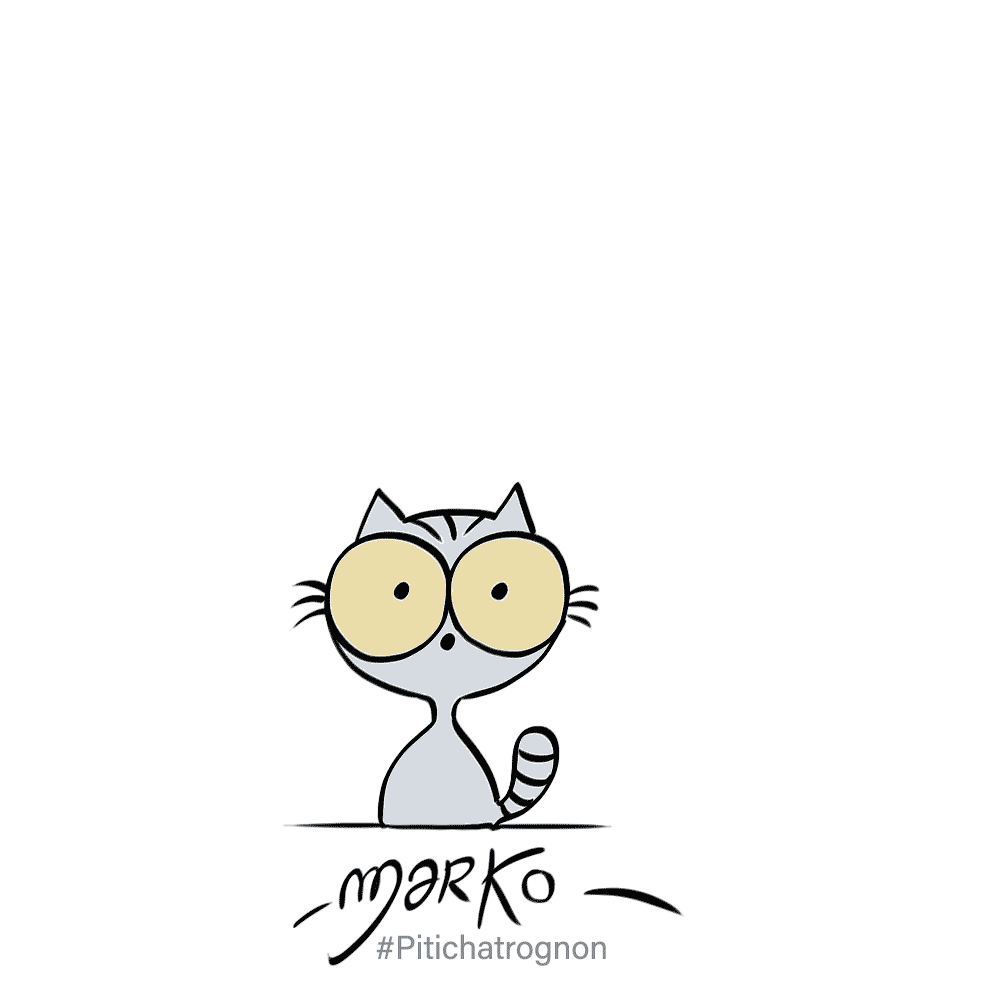 Happy Cat GIF by marko