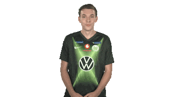 Vfl Wolfsburg Fifa Sticker by Bundesliga