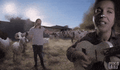 Dance Fun GIF by jorgemariozuleta