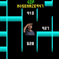 Maze 947 Mose GIF