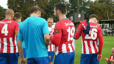 King Win GIF by Dorking Wanderers Football Club
