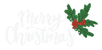 Merry Christmas Sticker by Natalie Tahhan