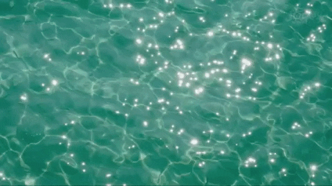 NoaLecaude giphygifmaker GIF