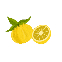 Candle Crazy Cat Lady Sticker by The Burlap Bag