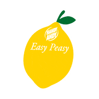 Shine Wipe Sticker by Unilever South Africa