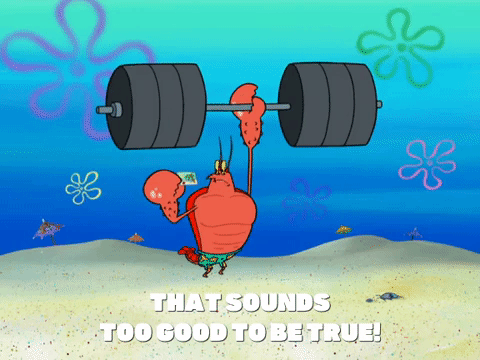 season 8 spongebob's runaway roadtrip: a squarepants family vacation GIF by SpongeBob SquarePants