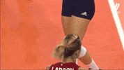 High Five United States GIF by Volleyball World