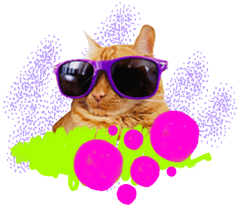 Cat Streaming Sticker by Twitch