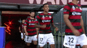 Western Sydney Wanderers Clapping GIF by wswanderersfc