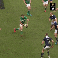 Irish Rugby GIF by Guinness Six Nations
