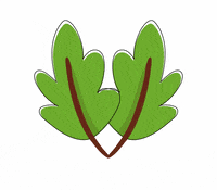 Go Vegan Plant Based GIF by VEGCRAVER