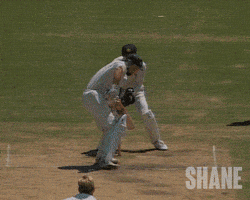 Big Bash Cricket GIF by Madman Films