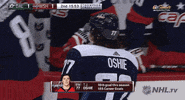 ice hockey GIF by NHL