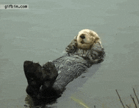 chillin GIF