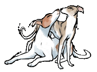Cat Dog Sticker