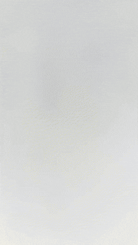 Dragon GIF by Youtooz