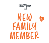 Dotsurefamily Sticker by dotsure