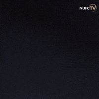 Newcastle United Willock GIF by Newcastle United Football Club