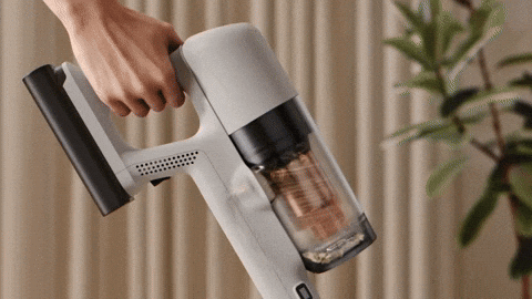 jadedlin giphyupload GIF