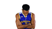 Basketball Basket Sticker by lnb_officiel