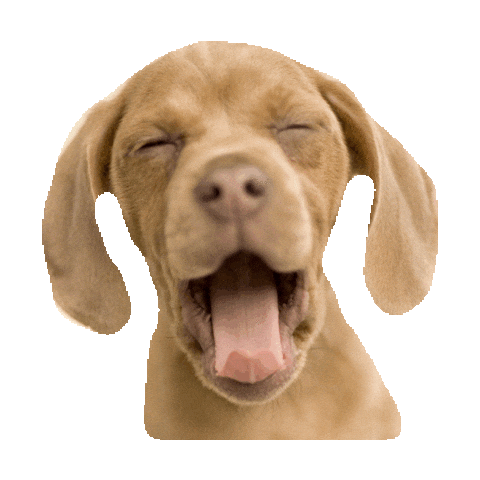 sleepy good night STICKER by imoji