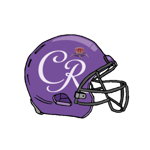 crownroyal sports game football nfl Sticker