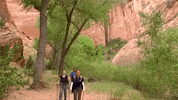 utah GIF