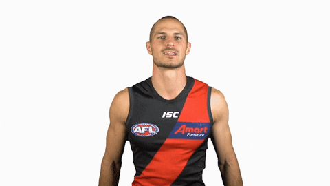 essendonfc giphyupload dons bombers essendon GIF