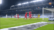camp nou football GIF by FC Barcelona