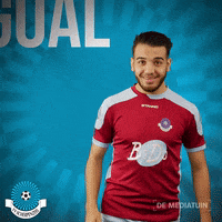 Voetbalvereniging_Scherpenzeel goal voetbal blauwwit hoofdklasse GIF