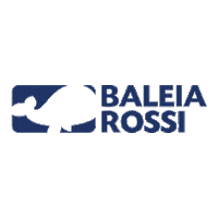depbaleiarossi mdb baleia rossi reforma tributaria baleiarossi Sticker