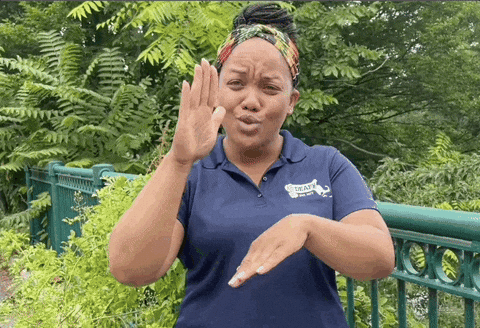 On The Internet Asl GIF