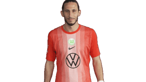 Football Hello Sticker by VfL Wolfsburg