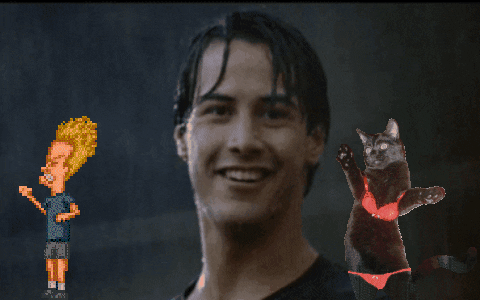 GIF by Agent M Loves Gifs