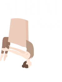 Pole Dance Aerial Yoga Sticker by DAYR STUDIO