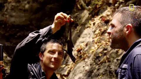 Zachary Quinto Panama GIF by National Geographic Channel