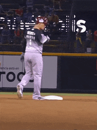 Baseball Lamp GIF by Tomateros de Culiacán