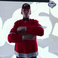 nhl sports sport hockey nhl GIF